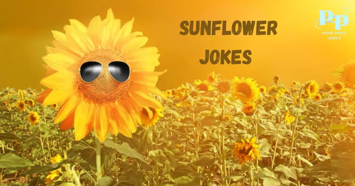 Sunflower Jokes