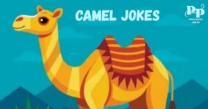Camel Jokes