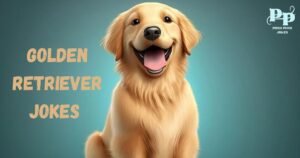 Golden Retriever Jokes