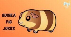 Guinea Pig Jokes