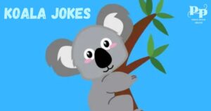 Koala Jokes