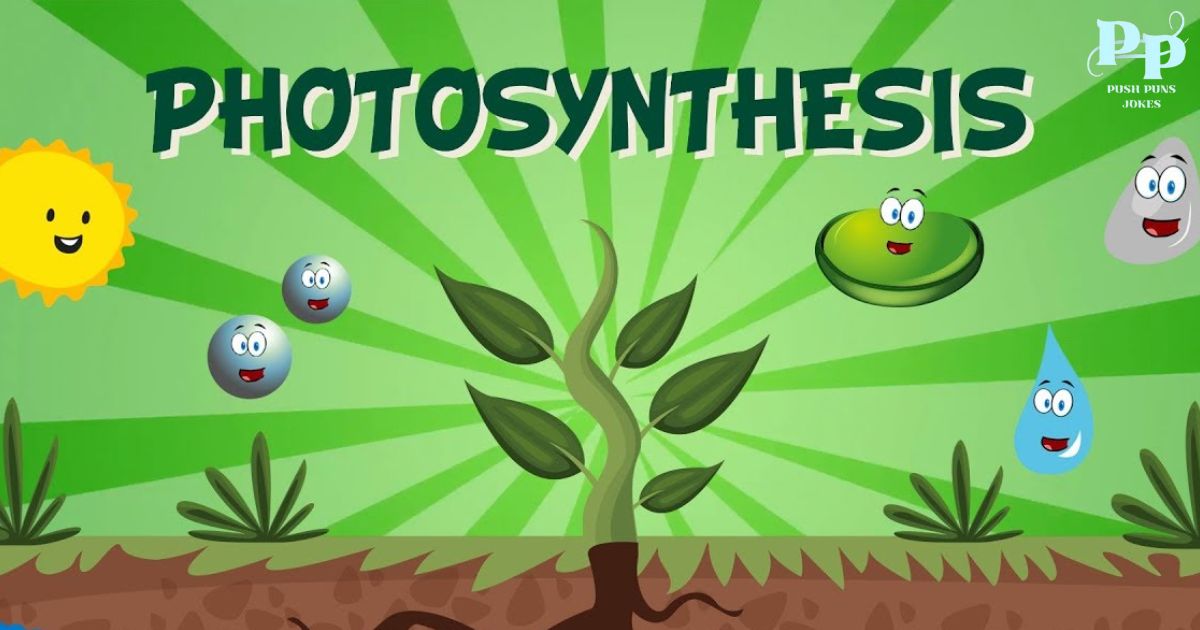 Photosynthesis Jokes