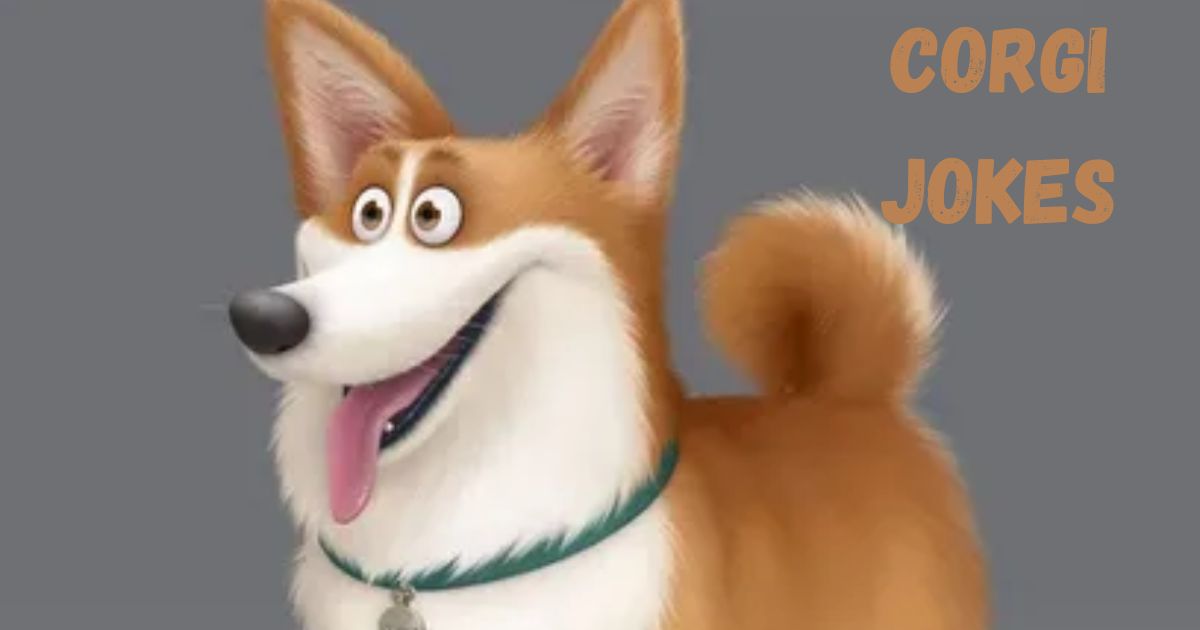 Corgi Jokes