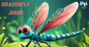Dragonfly Jokes