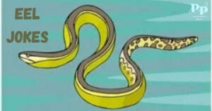 Eel Jokes
