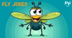 Fly Jokes
