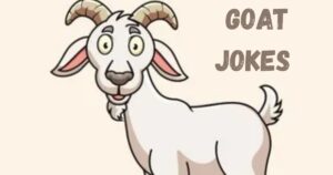 Goat Jokes