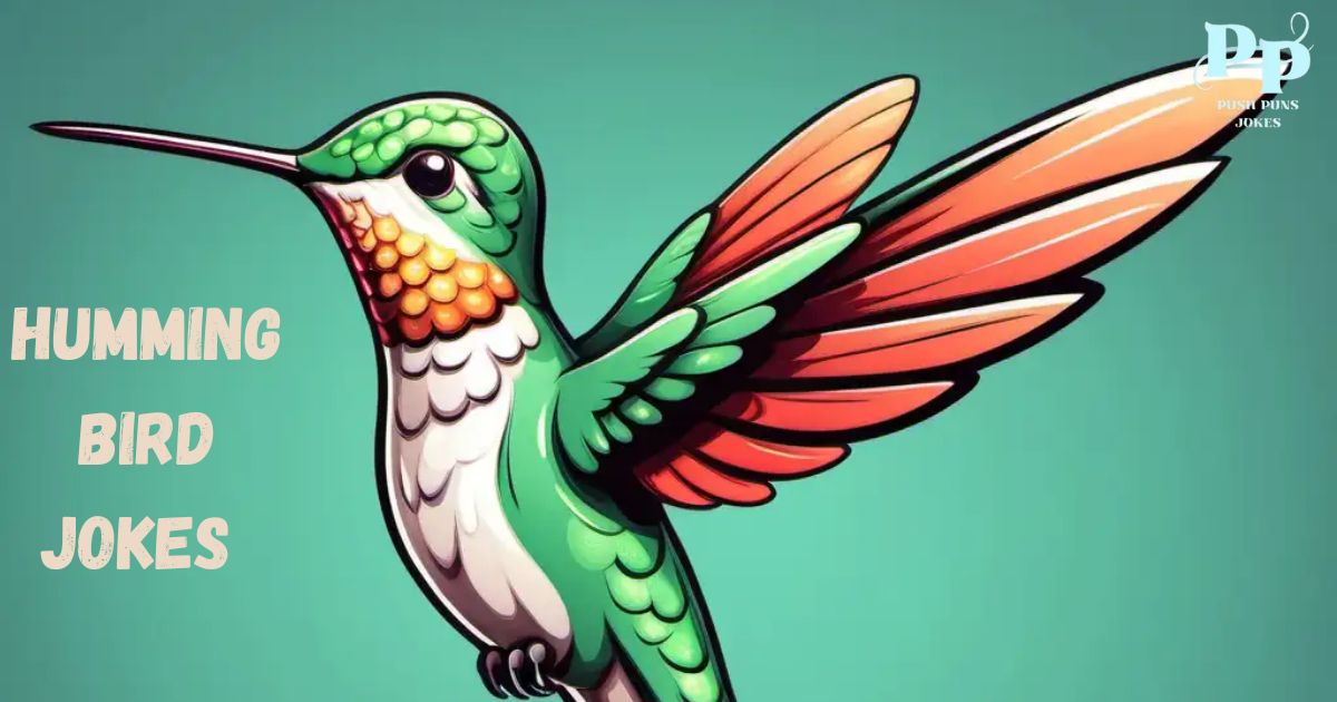 Hummingbird Jokes