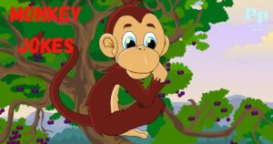 Monkey Jokes