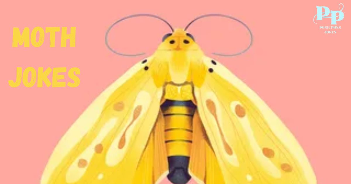Moth Jokes