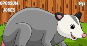 Opossum Jokes