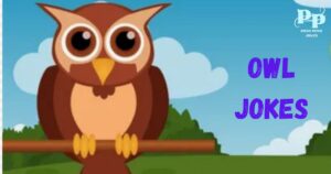 Owl Jokes