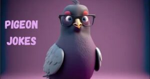 Pigeon Jokes