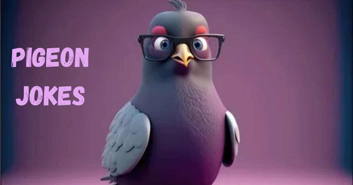 Pigeon Jokes