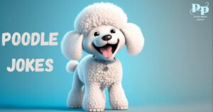 Poodle Jokes