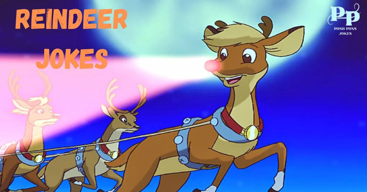 Reindeer Jokes
