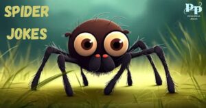 Spider Jokes