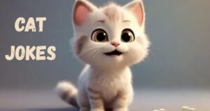 Cat Jokes