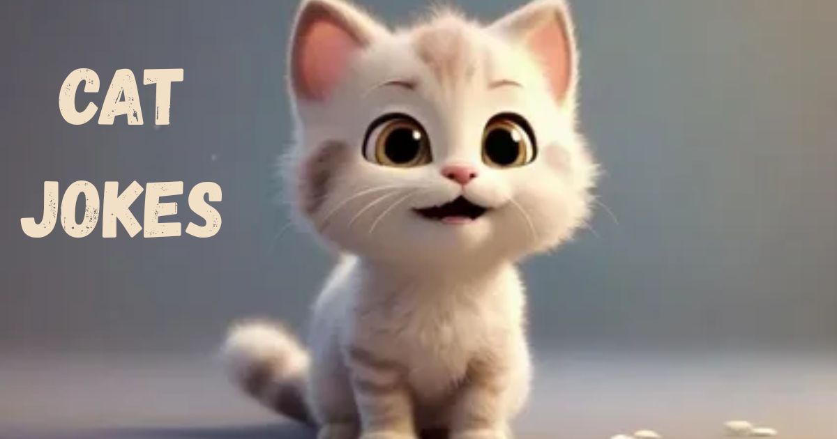Cat Jokes
