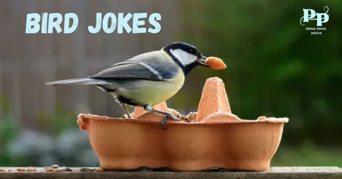 bird jokes